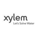 Xylem2